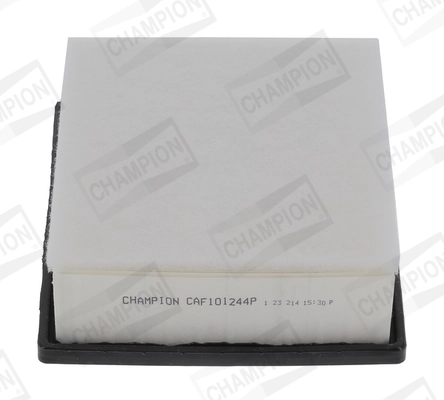 CAF101244P Champion