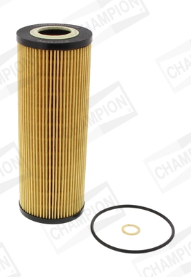 COF100513E Champion
