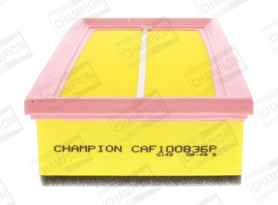 CAF100836P Champion