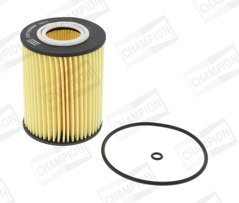 COF100566E Champion