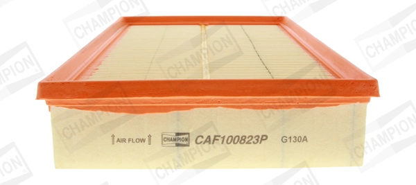 CAF100823P Champion