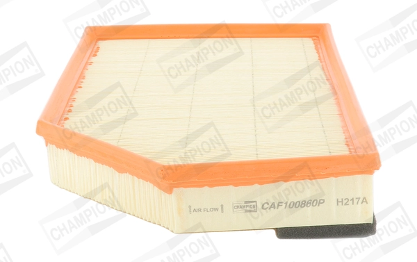 CAF100860P Champion