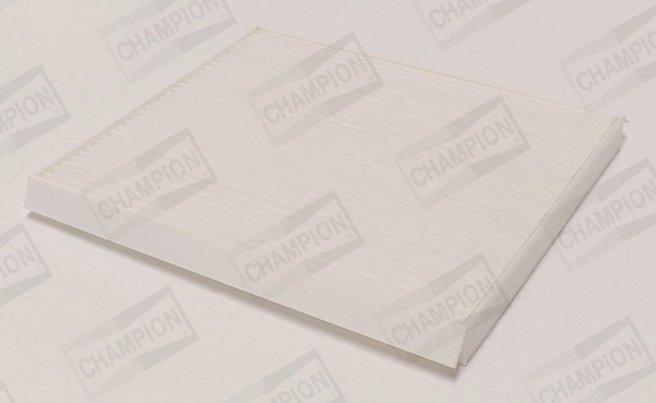 CCF0511 Champion
