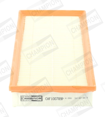 CAF100789P Champion