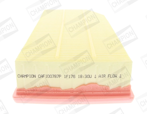CAF100787P Champion