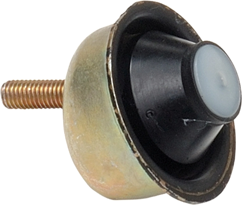 R55161 Rapro