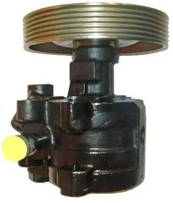 Renault 19 I Hidrolik direksiyon pompası