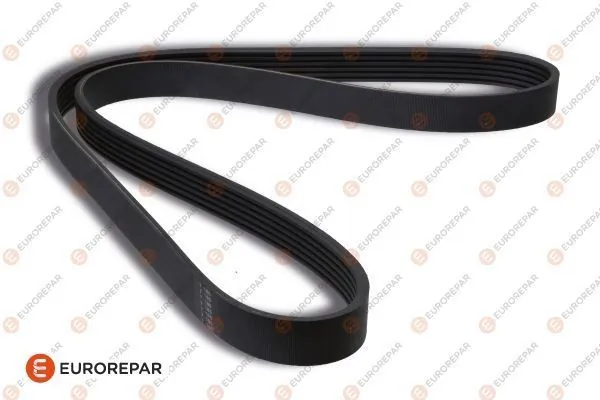 Ford Transit VI şarj dinamosu kayışı