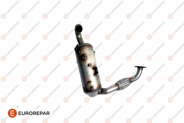 Focus III DPF