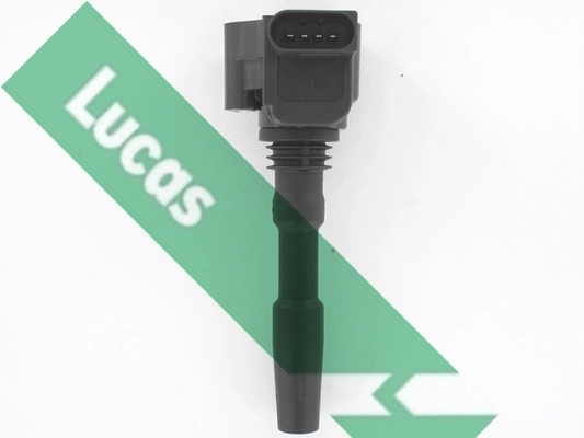 DMB5037 Lucas