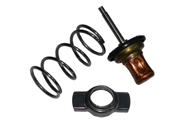Clio II hatchback (BB, CB) (1998 - 2010) Termostat yuvası