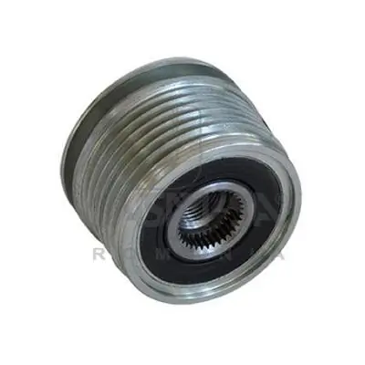 30438 Asam