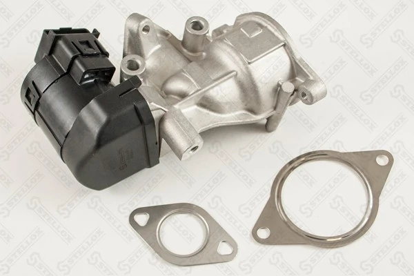 Focus II hatchback (DA, HCP, DP) (2004 - 2011) EGR vanası