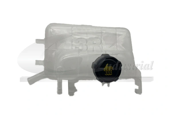 Renault Fluence  (2010 - 2026) Genleşme su deposu çıkma
