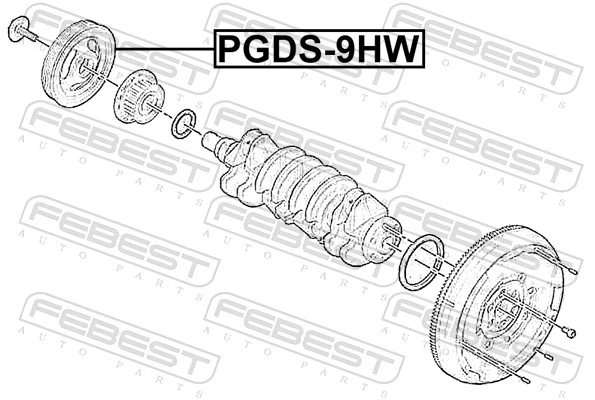 PGDS9HW Febest