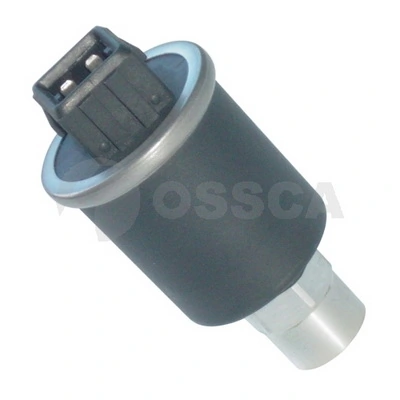 00208 Ossca