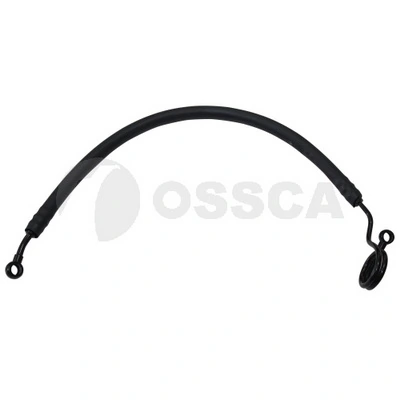06498 Ossca