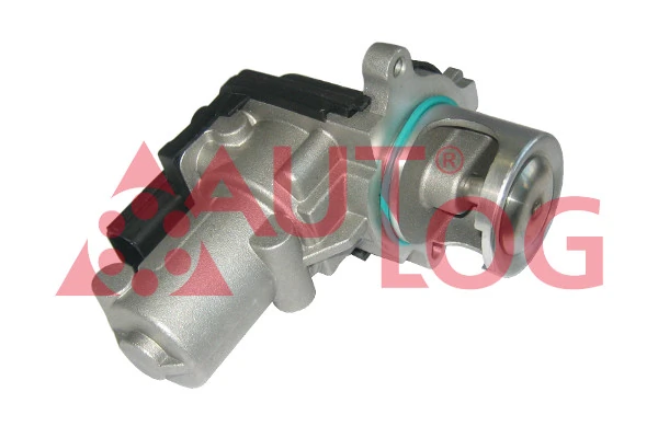 Transporter  EGR vanası