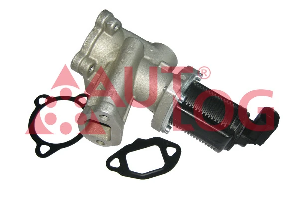 Fiat Linea  EGR vanası