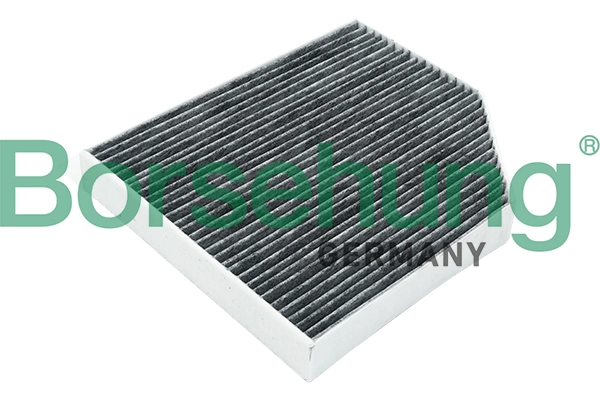 B12801 Borsehung