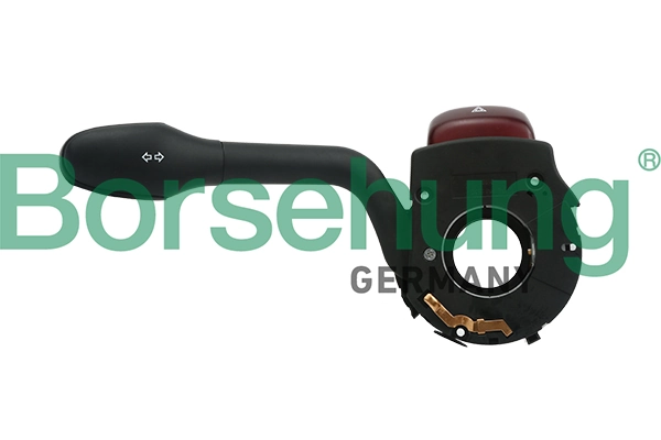 B17967 Borsehung