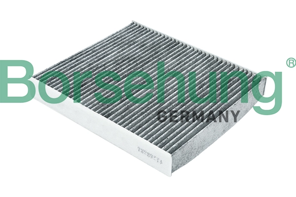 B18017 Borsehung