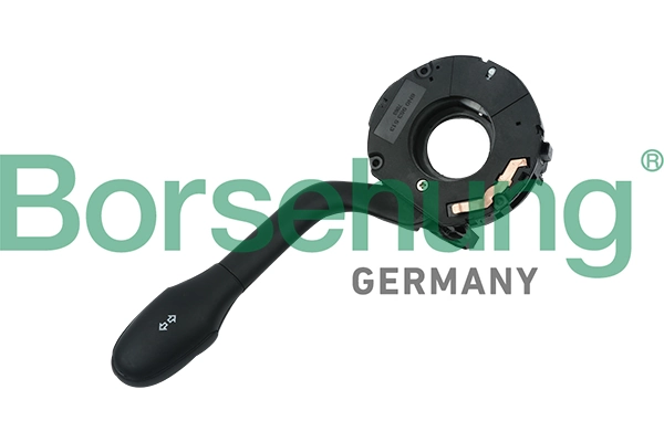 B17968 Borsehung
