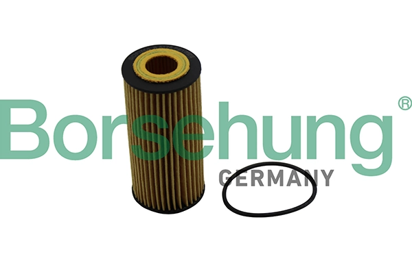 B10511 Borsehung