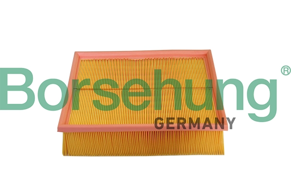 B10545 Borsehung