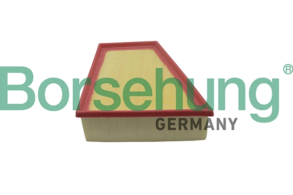B10512 Borsehung