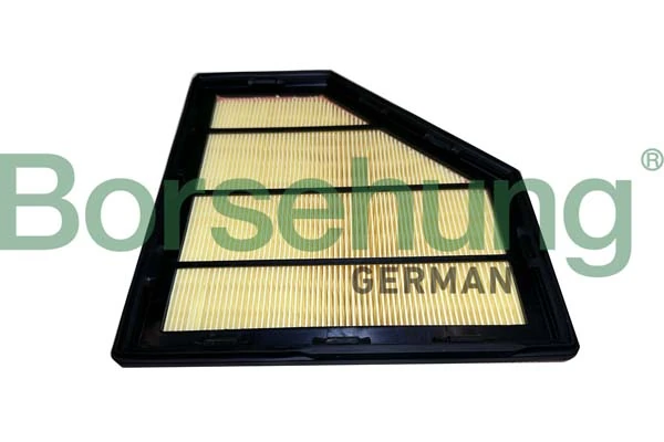 B12453 Borsehung