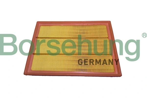 B12440 Borsehung