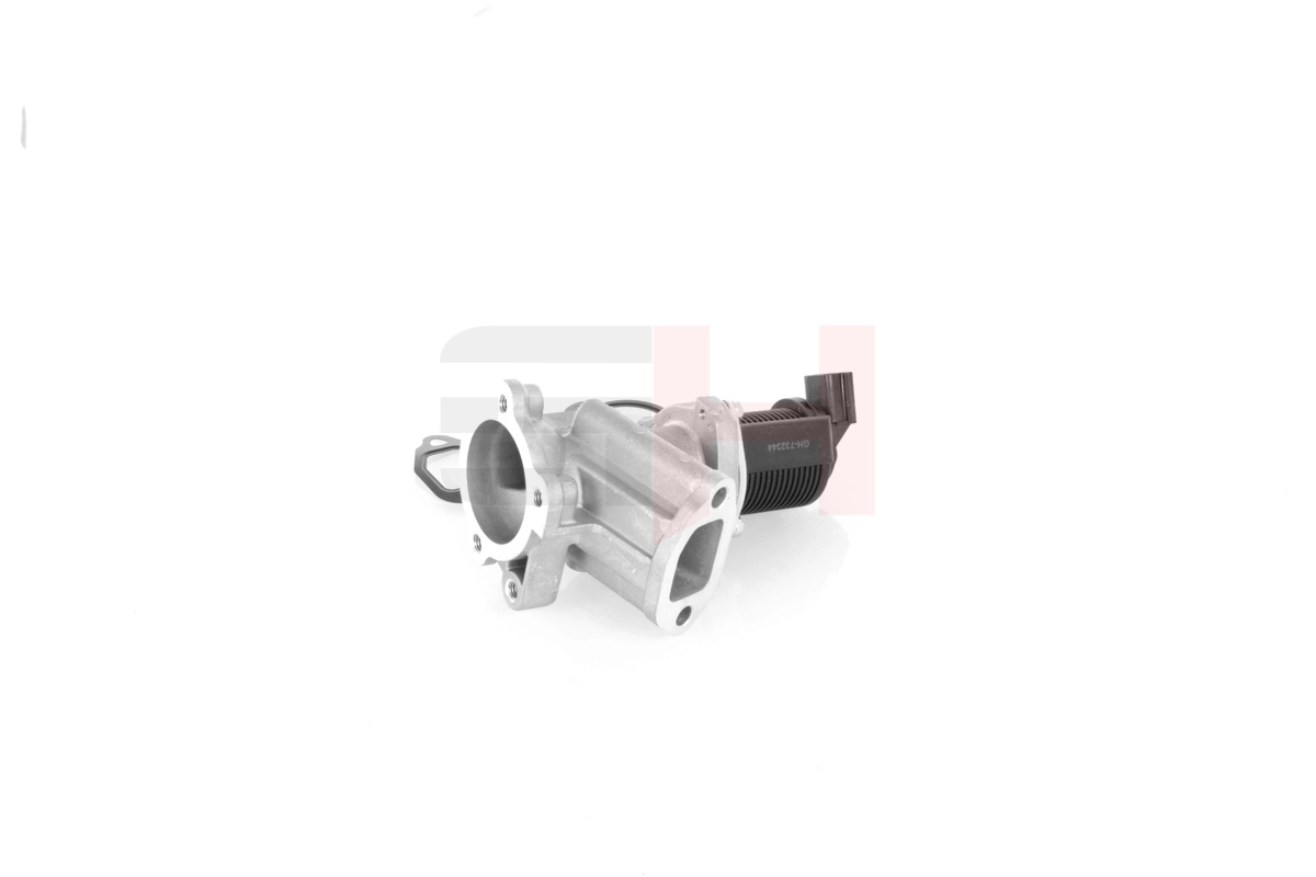 Fiat Palio  EGR valfi fiyatı