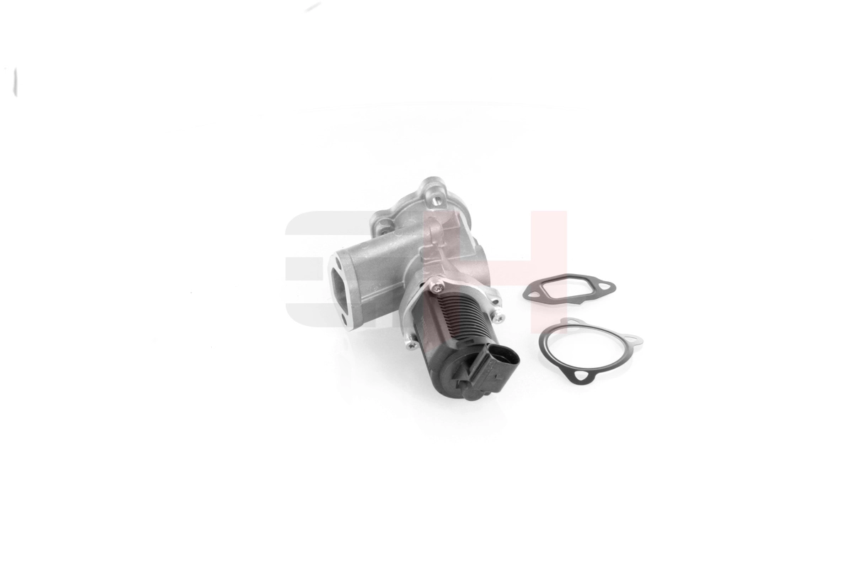 Fiat Palio  (1996 - 2026) EGR egzoz gazı devirdaim valfi 