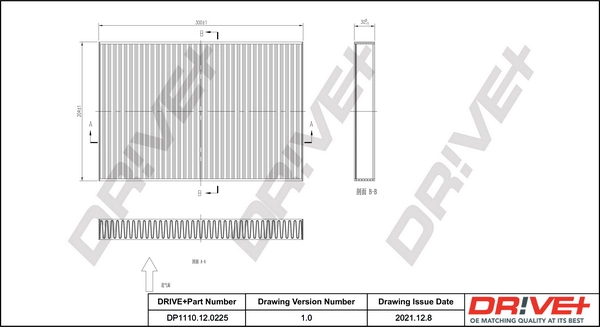 DP1110120225 Dr!ve+