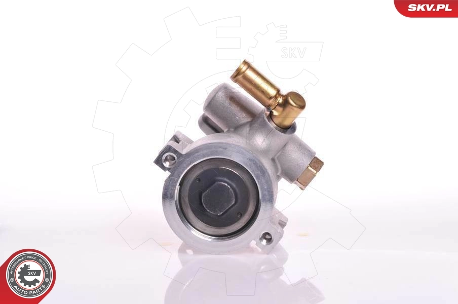 Ford Escort IV Hidrolik direksiyon pompası
