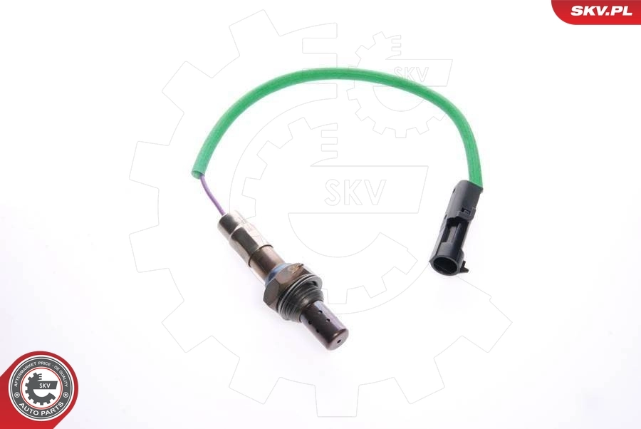 09SKV069 SKV