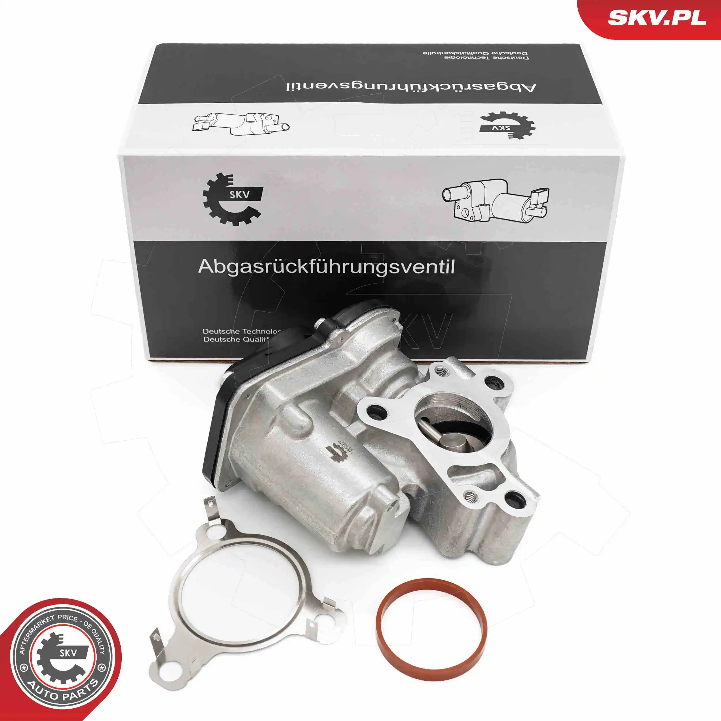 Kangoo III EGR vanası