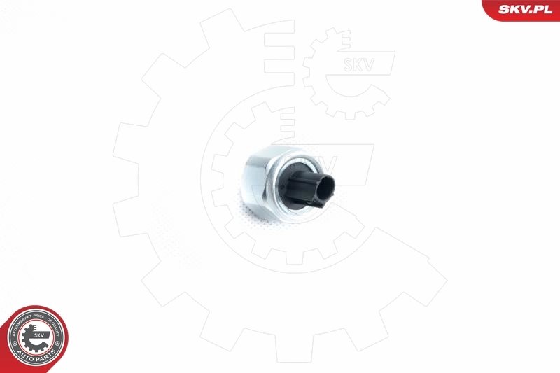 17SKV360 SKV
