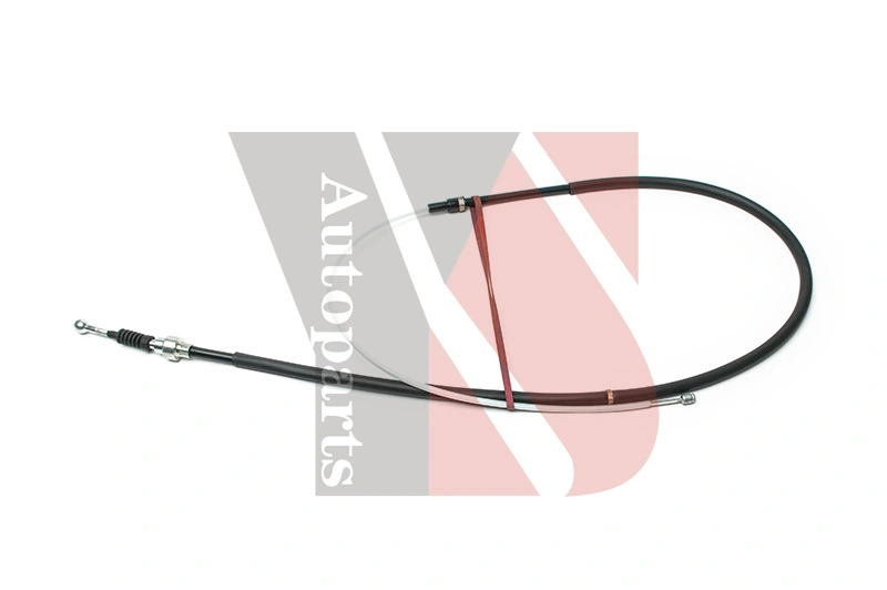 YSCAB0089 YS