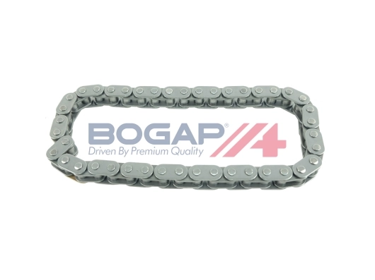 A1310113 Bogap