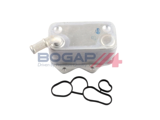 A4222110 Bogap