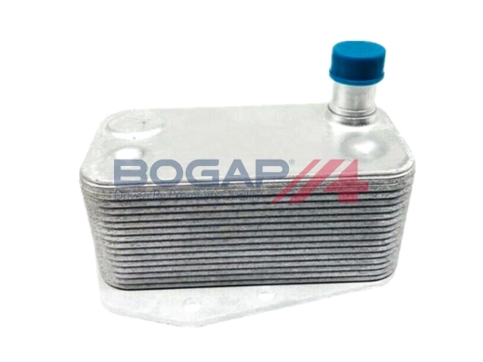 E4222100 Bogap