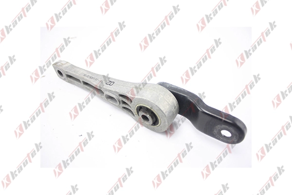 Volkswagen Passat B6 Arka motor kulağı