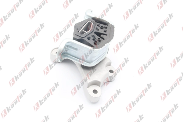 Transporter T5 Sol Motor Kulağı