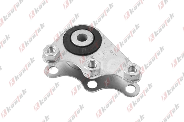 Fiat Ducato III Arka motor kulağı