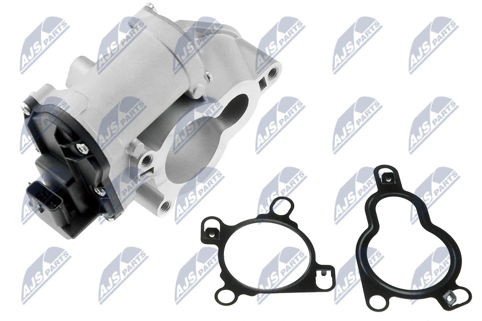 Megane III EGR vanası