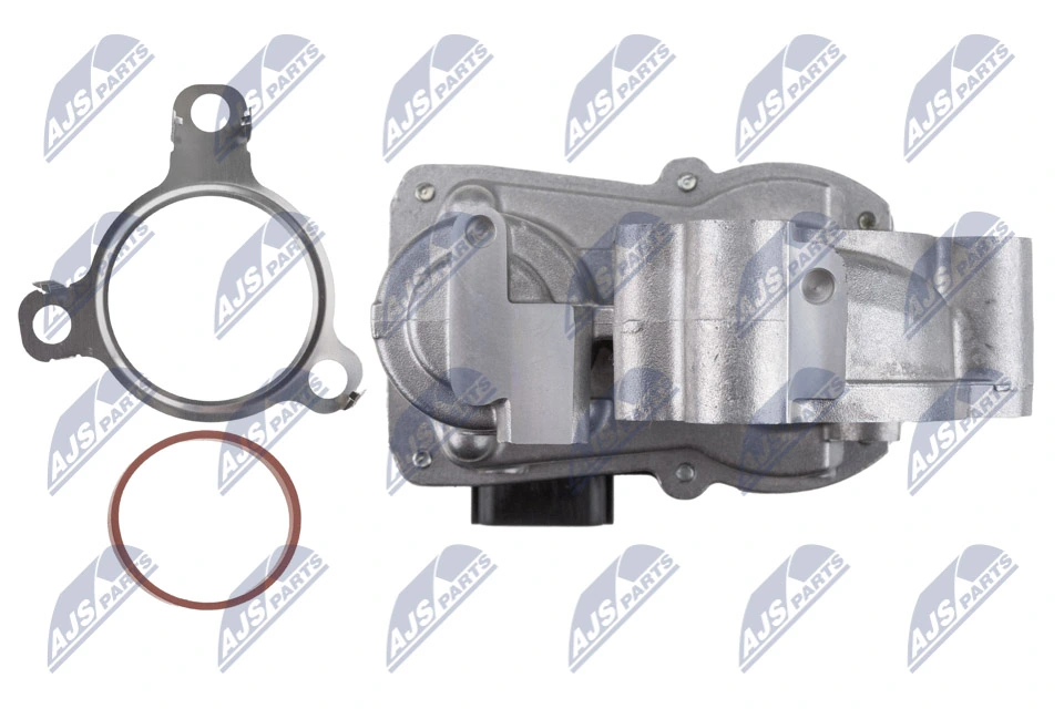 Renault Kangoo III EGR valfi orijinal