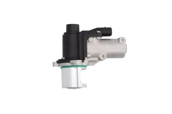 Transporter  EGR vanası