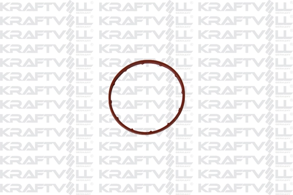 10060360 Kraftvoll
